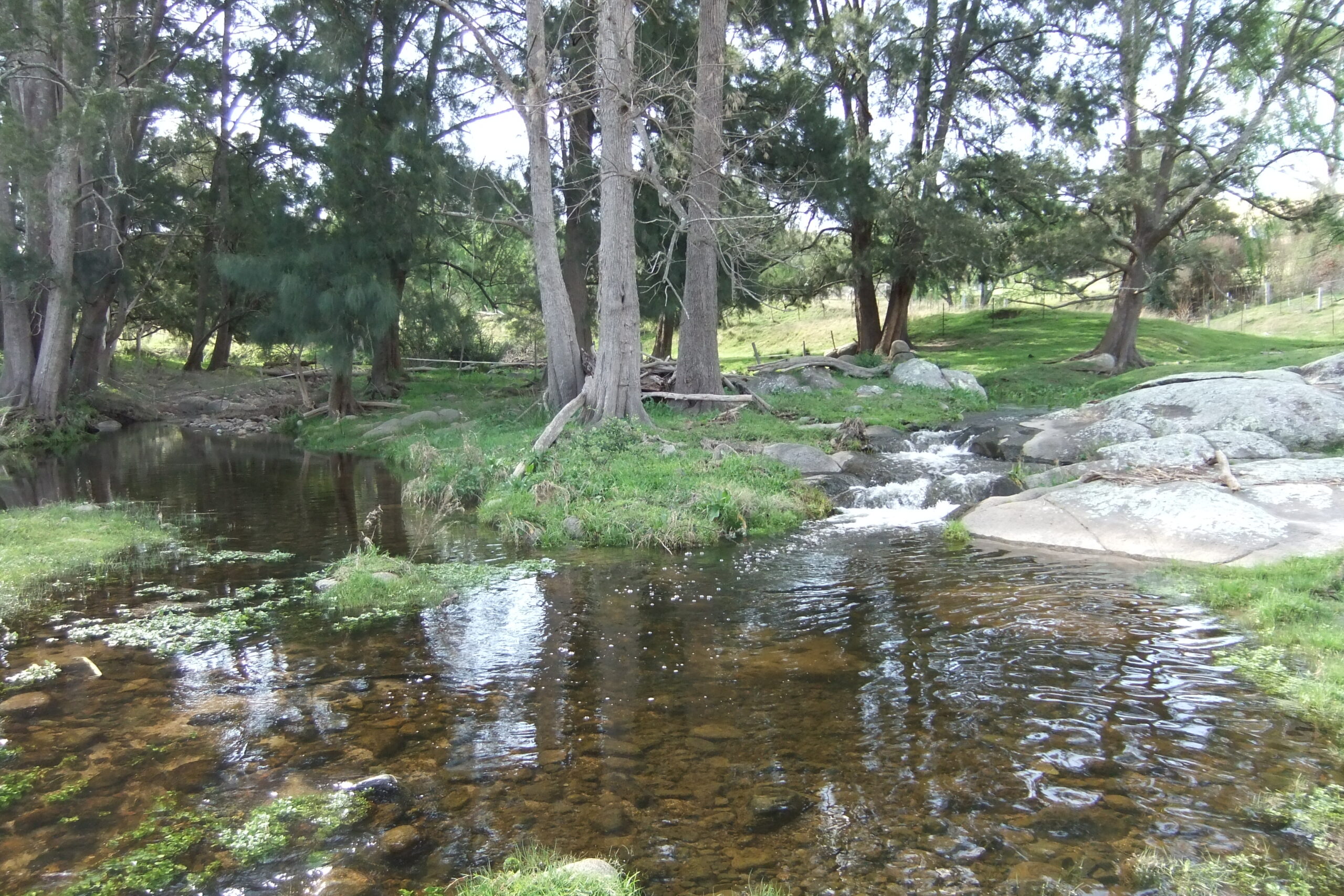 farm creek pond
